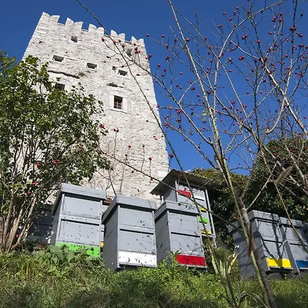 Apartmaji In Sobe Marija Jera Štanjel