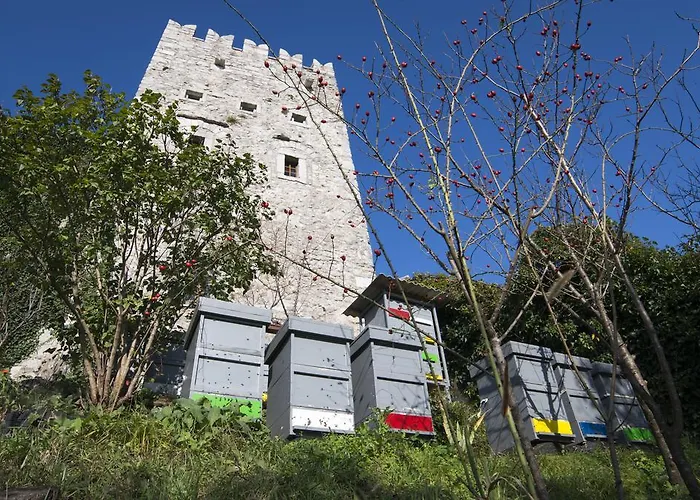 Apartmaji In Sobe Marija Jera Stanjel